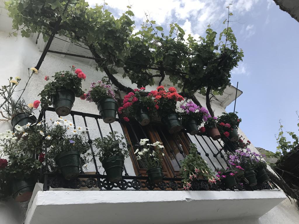 Apartamento La Ermita Del Poqueira Bubión Exterior foto