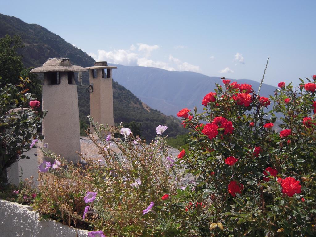 Apartamento La Ermita Del Poqueira Bubión Exterior foto